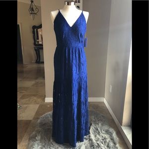 Enfocus Studio Cobalt Blue Lace Dress